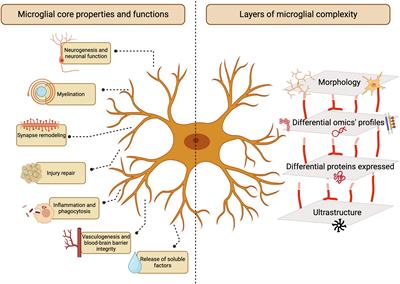 Established and emerging techniques for the study of microglia: visualization, depletion, and fate mapping
